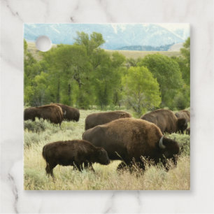 Wyoming Bison Nature Animal Photography Gåvor Etiketter