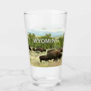 Wyoming Bison Nature Animal Photography Glaskopp