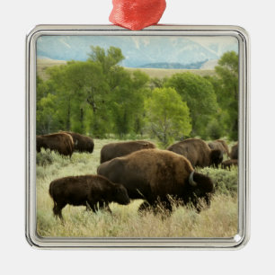 Wyoming Bison Nature Animal Photography Julgransprydnad Metall
