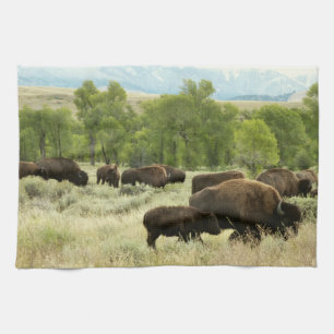 Wyoming Bison Nature Animal Photography Kökshandduk