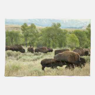 Wyoming Bison Nature Animal Photography Kökshandduk
