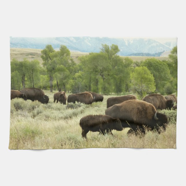 Wyoming Bison Nature Animal Photography Kökshandduk (Horisontell)