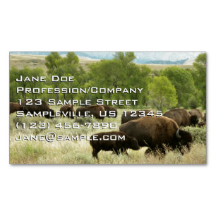 Wyoming Bison Nature Animal Photography Magnetiska Visitkort