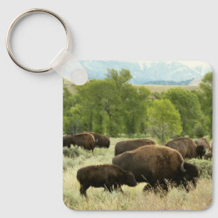 Wyoming Bison Nature Animal Photography Nyckelring