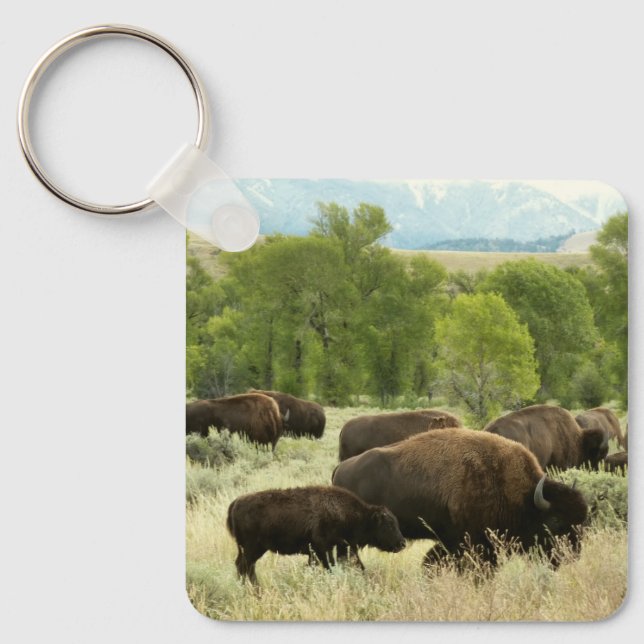 Wyoming Bison Nature Animal Photography Nyckelring (Framsida)