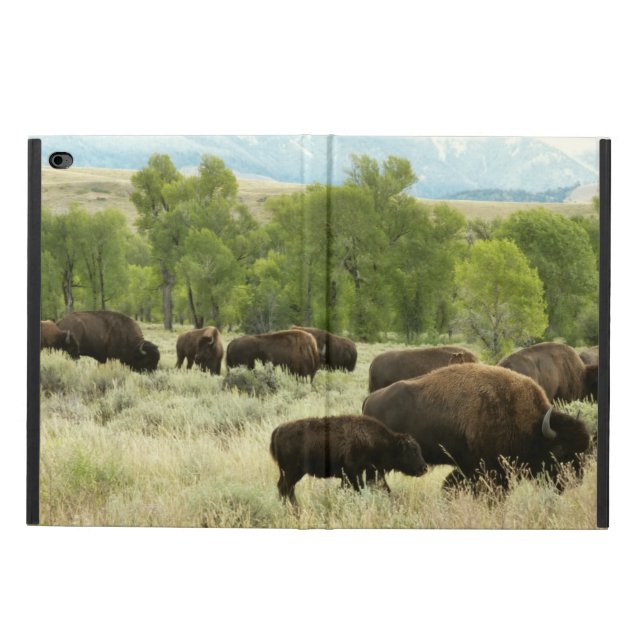Wyoming Bison Nature Animal Photography Powis iPad Air 2 Skal (OutSida)