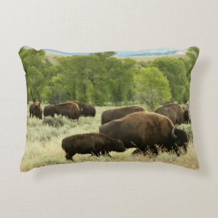 Wyoming Bison Nature Animal Photography Prydnadskudde
