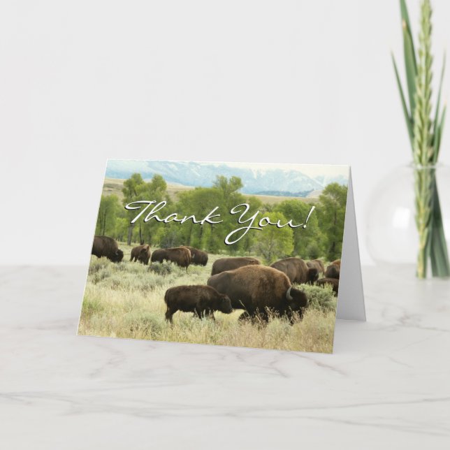 Wyoming Bison Nature Animal Photography Tack Kort (Framsida)