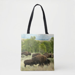 Wyoming Bison Nature Animal Photography Tygkasse