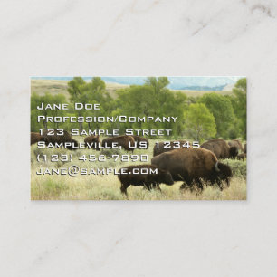 Wyoming Bison Nature Animal Photography Visitkort