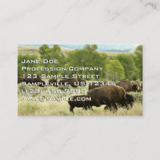 Wyoming Bison Nature Animal Photography Visitkort