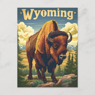Wyoming Bison Vykort