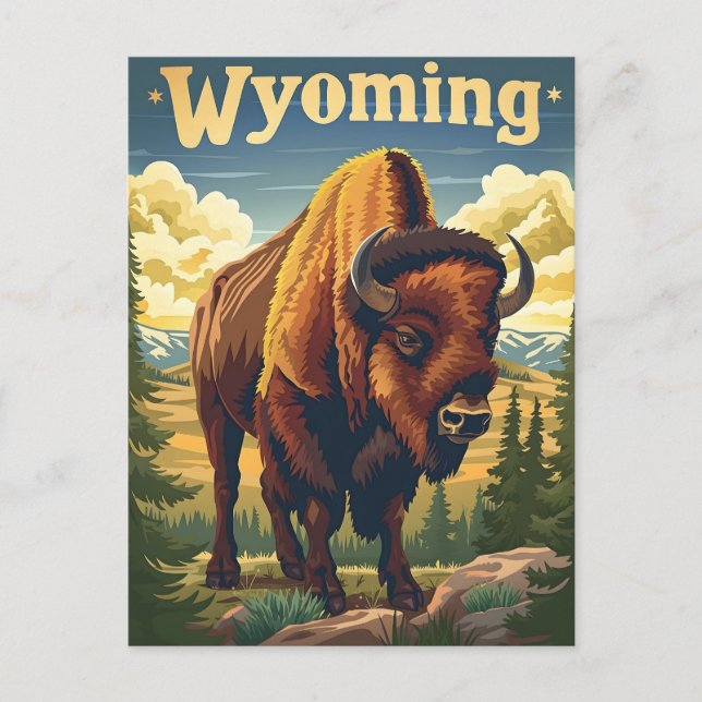 Wyoming Bison Vykort (Framsida)