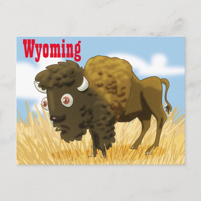 Wyoming Buffalo Vykort (Framsida)