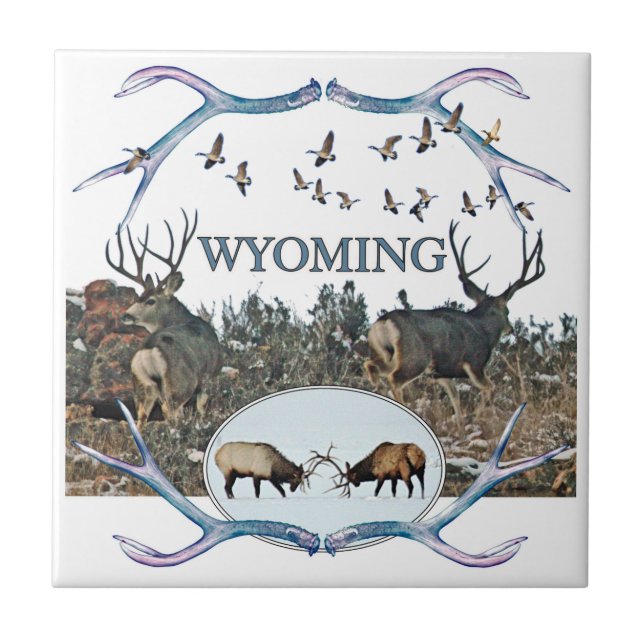 WYOMING djurliv Kakelplatta (Framsidan)