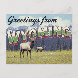Wyoming Elk Grand Teton-bergen Vykort