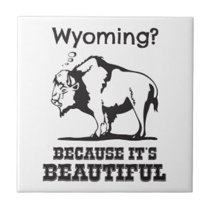 Wyoming? För det är vackert Kakelplatta