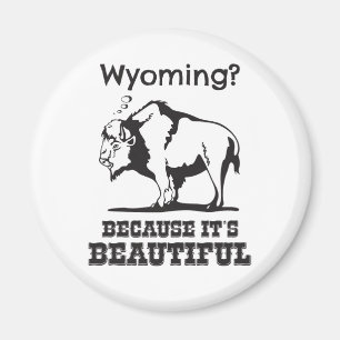 Wyoming? För det är vackert Magnet