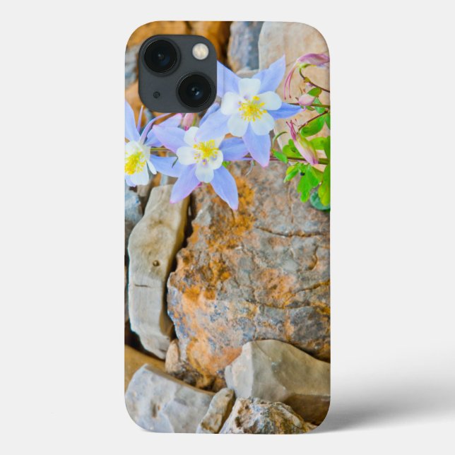 Wyoming, Grand Teton National Park 1 (Baksida)