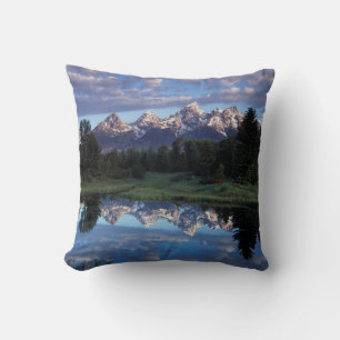 Wyoming, Grand Teton National Park 4 Kudde