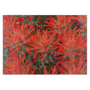 Wyoming, Lincoln County, Ökenpenselblomma