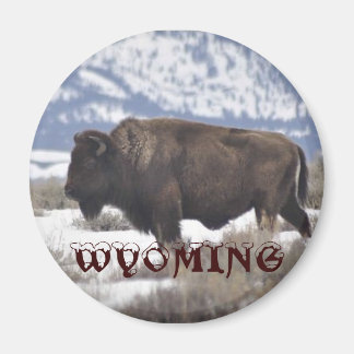 Wyoming Magnet