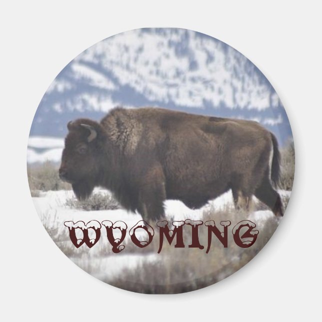 Wyoming Magnet (Framsidan)