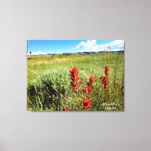 Wyoming Meadow in Summer2 Canvastryck