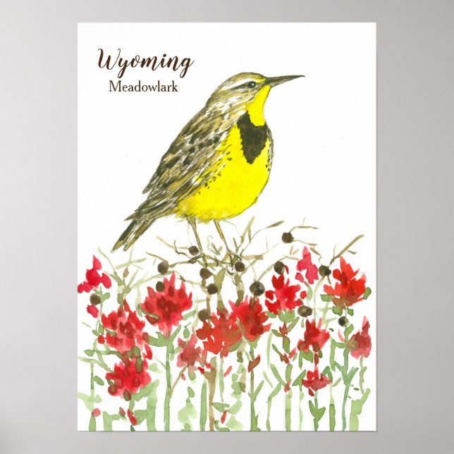 Wyoming Meadowlark Songbird Indian Paintbrush Poster (Framsidan)