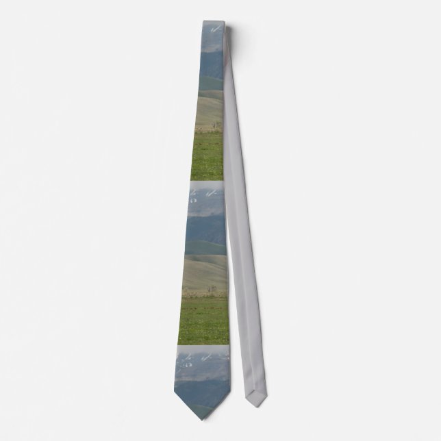 Wyoming Mountain Scene Necktie Slips (Framsida)