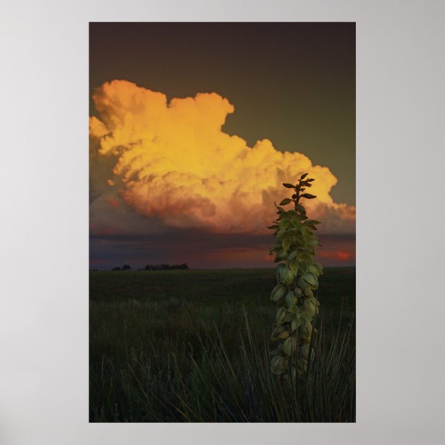 Wyoming Poster (Framsidan)