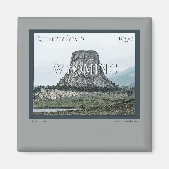Wyoming Poster Magnet (Framsidan)