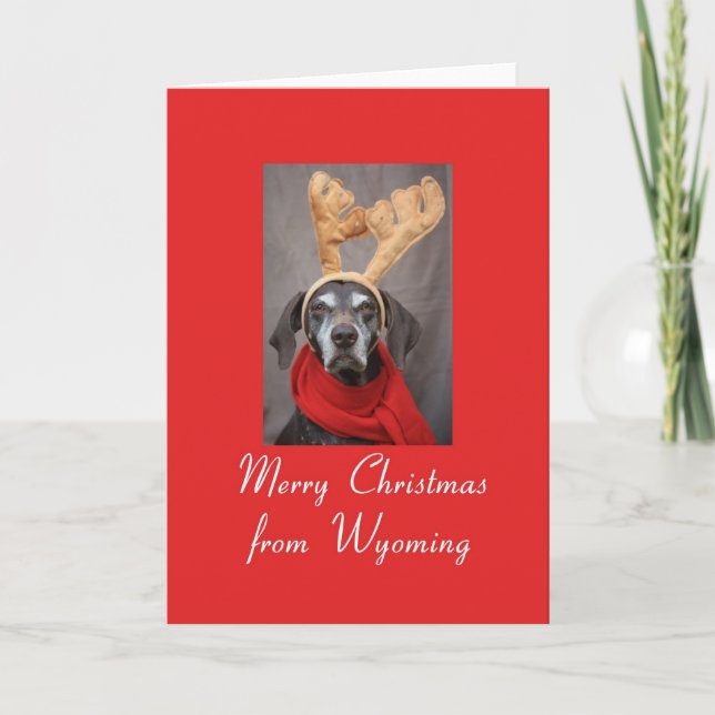 Wyoming rener pointer merry x-mas helgkort (Framsida)