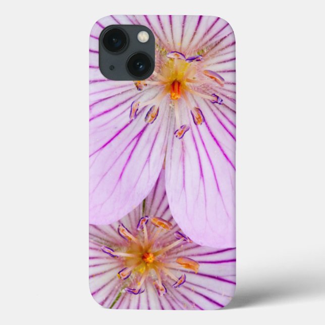 Wyoming, Sublette County, Close of two Sticky (Baksida)