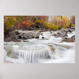 Wyoming, Sublette County, Gräs Bäck flowing Poster