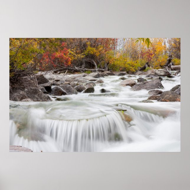 Wyoming, Sublette County, Gräs Bäck flowing Poster (Framsidan)