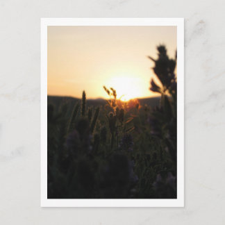 Wyoming Sunrise Vykort