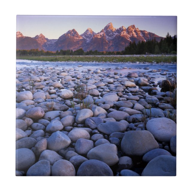 Wyoming, Teton National Park, Snake River Kakelplatta (Framsidan)