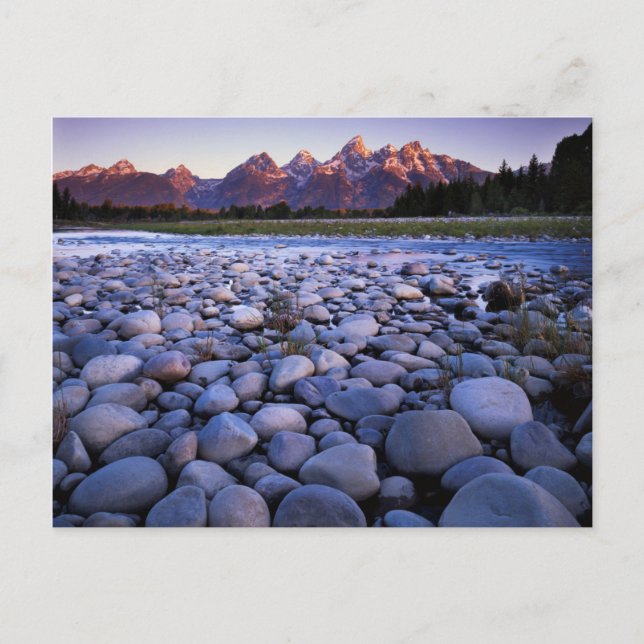 Wyoming, Teton National Park, Snake River Vykort (Framsida)