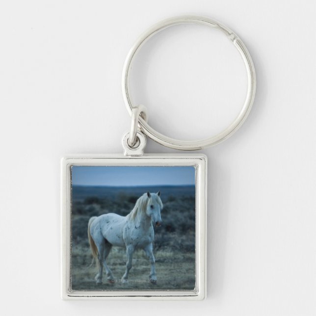 wyoming USA Fyrkantig Silverfärgad Nyckelring (Framsidan)
