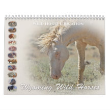 Wyoming Vild Horses
