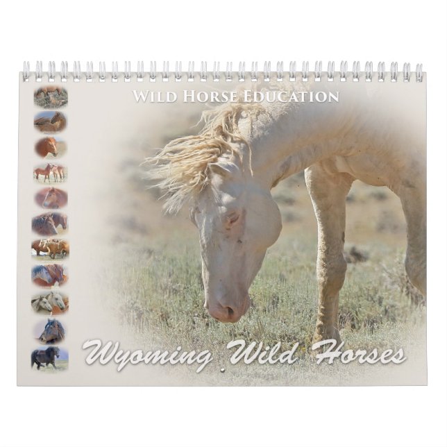 Wyoming Vild Horses Kalender (Omslag)