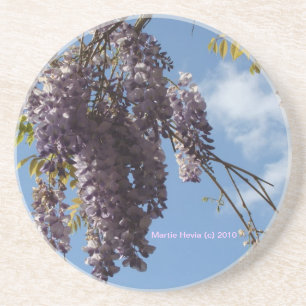 Wysteria - Underlägg
