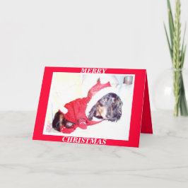 X MAS CHRISTMAS CARDS - HEIDI VALP - DASCHUND MINI HELGKORT