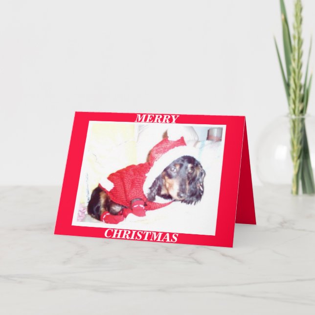 X MAS CHRISTMAS CARDS - HEIDI VALP - DASCHUND MINI HELGKORT (Framsida)