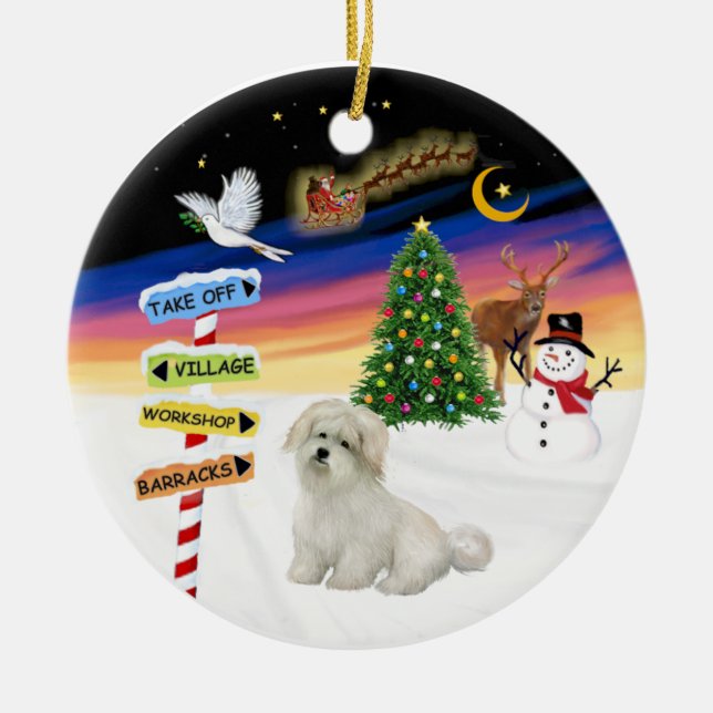 X Mas Signs- Coton de Tulear Julgransprydnad Keramik (Framsidan)