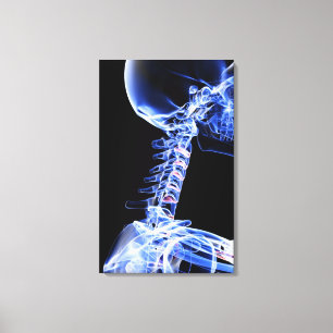 X-ray avbildar av benen av nacken canvastryck