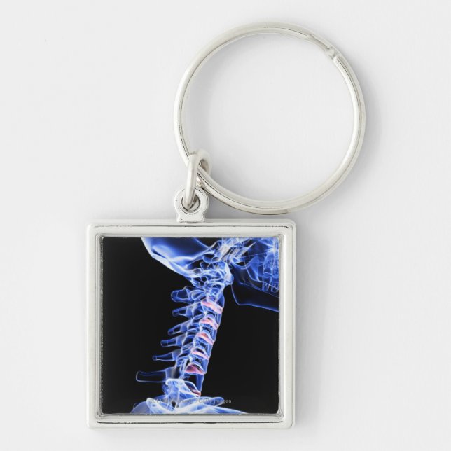 X-ray avbildar av benen av nacken fyrkantig silverfärgad nyckelring (Framsidan)