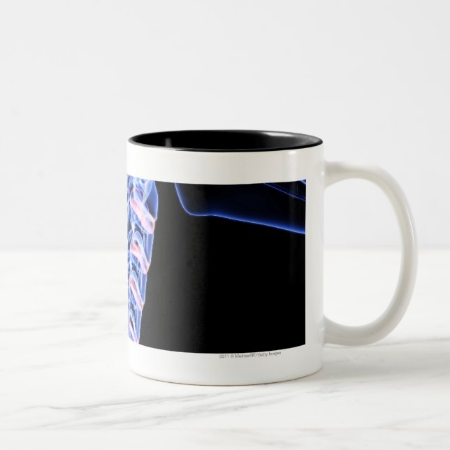 X-ray avbildar av benen av nacken Två-Tonad mugg (Höger)