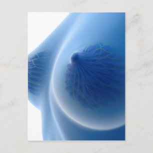 X-Ray-bild av kvinnlig bröstanatomi Vykort
